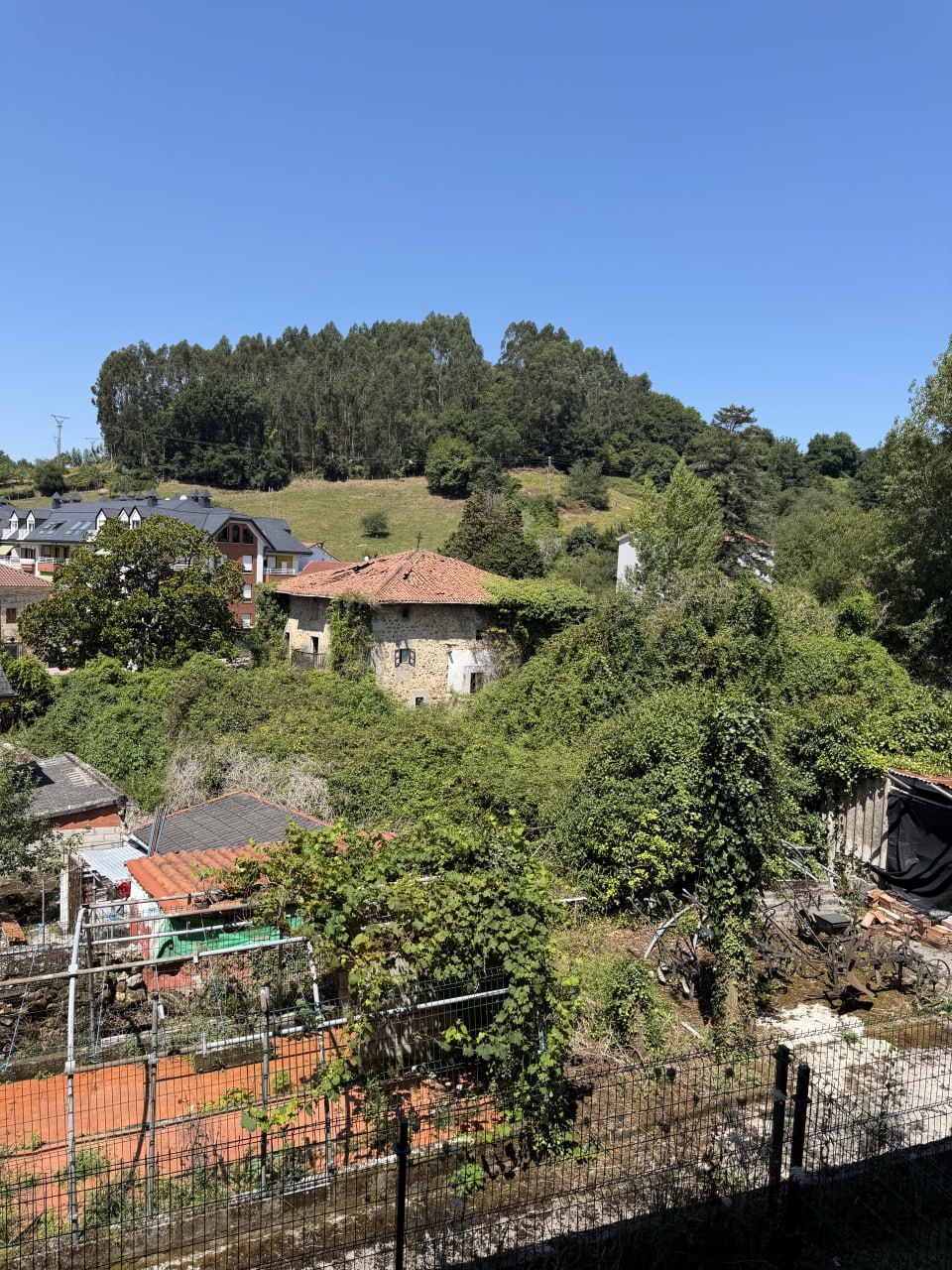 Entorno rural y arbolado de Limpias